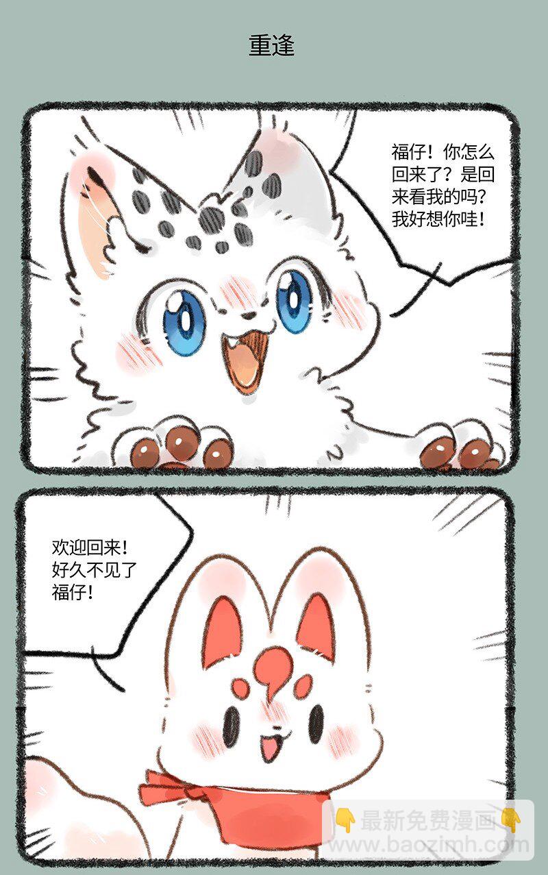715 福仔回来啦4