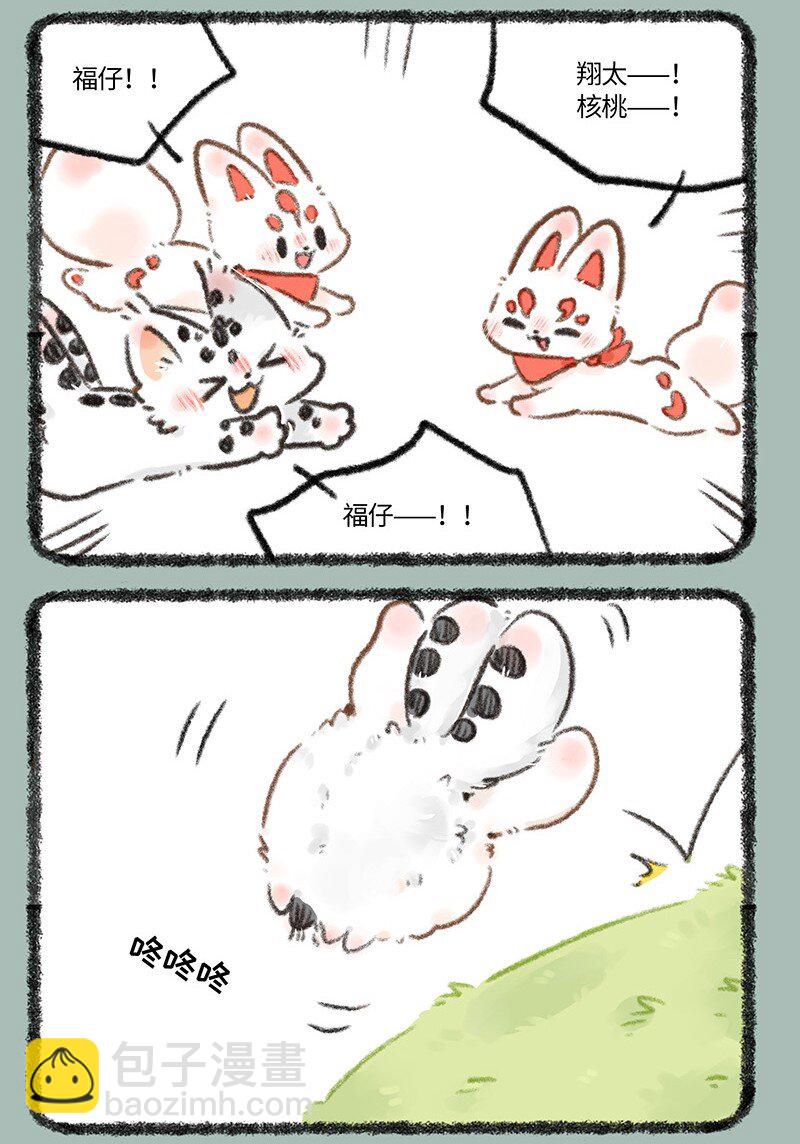 715 福仔回来啦5