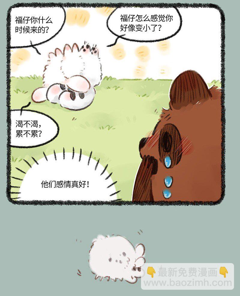 715 福仔回来啦6