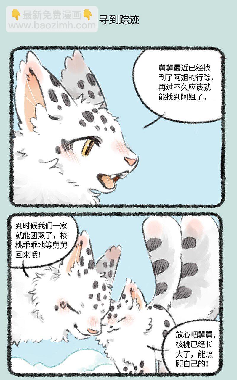 734 寻得踪迹4