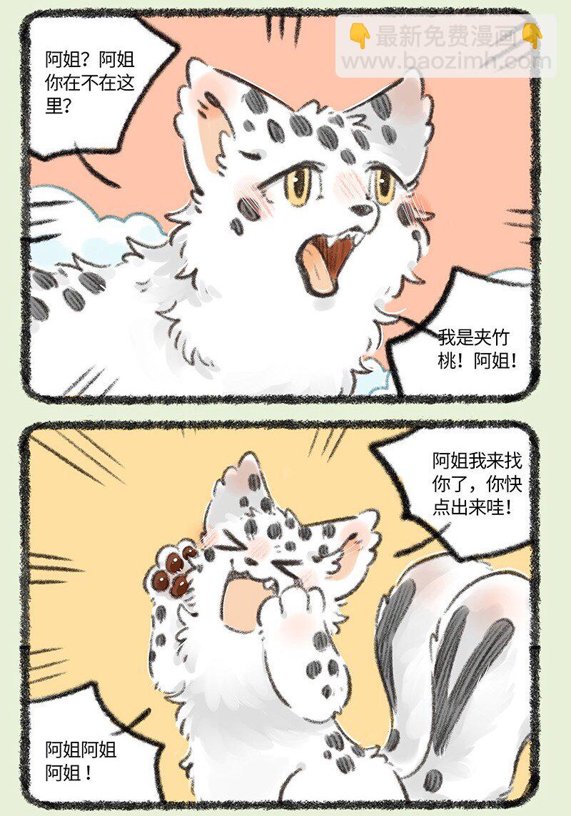 735 阿姐你到底在哪2