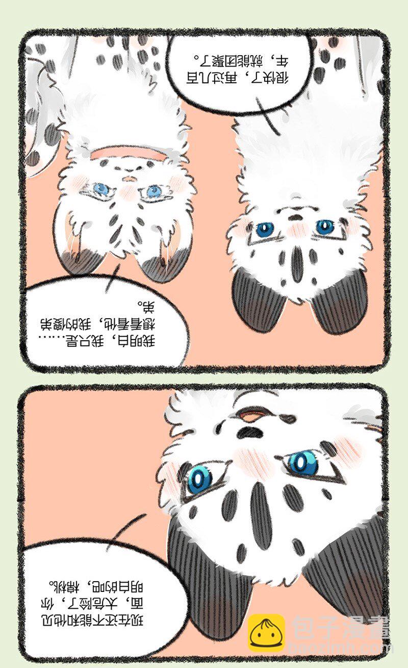 735 阿姐你到底在哪4