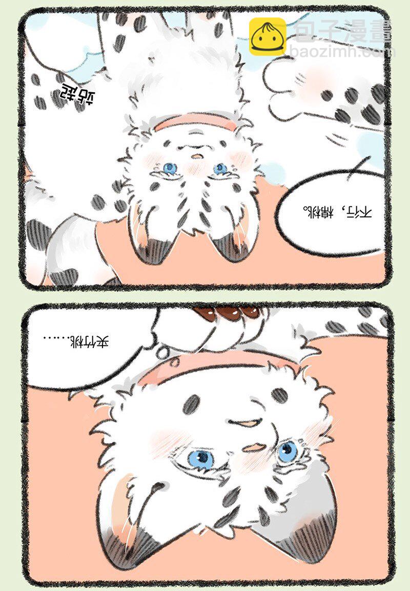 735 阿姐你到底在哪5
