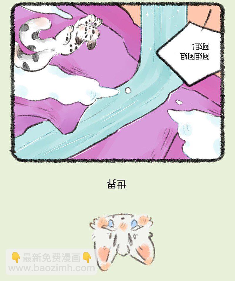 735 阿姐你到底在哪6