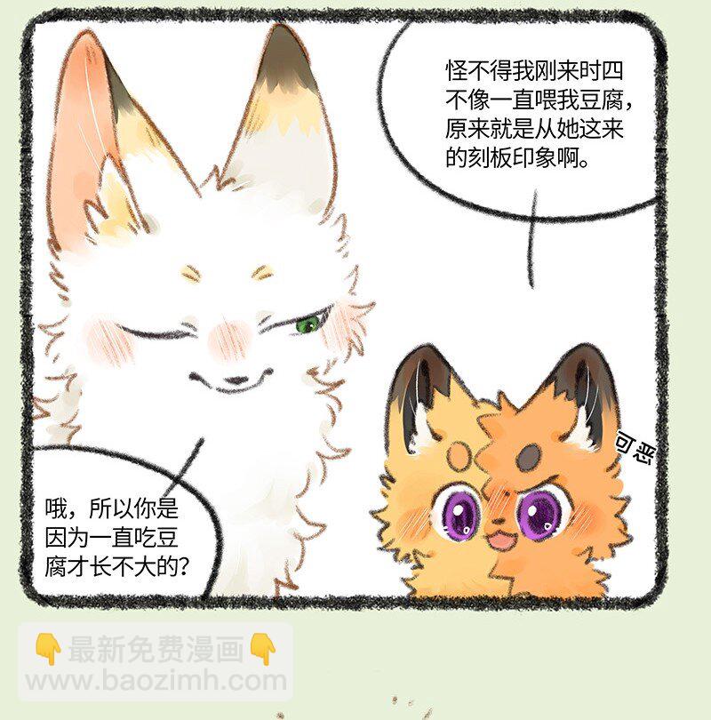 741 狐狸与豆腐3