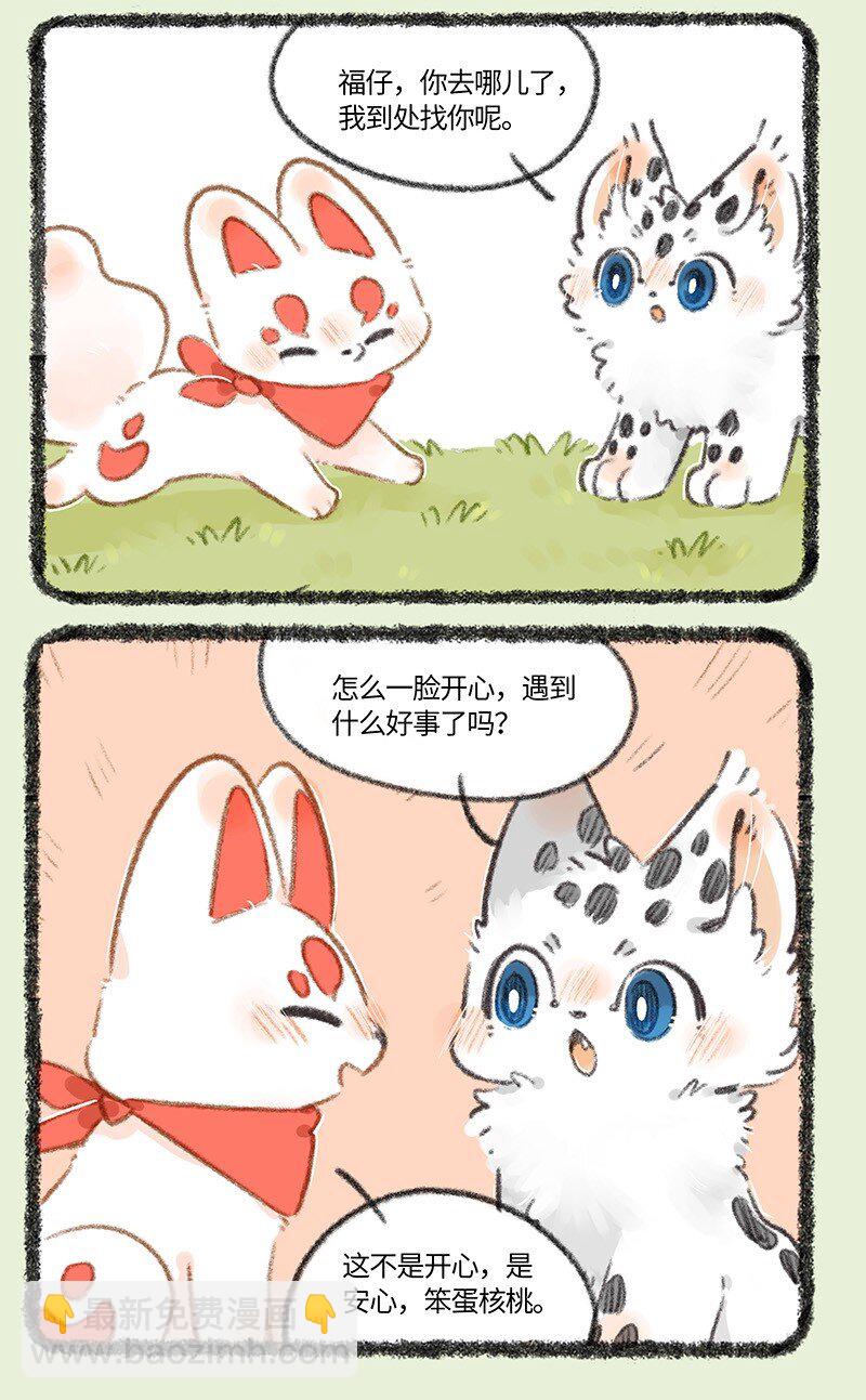 741 狐狸与豆腐6