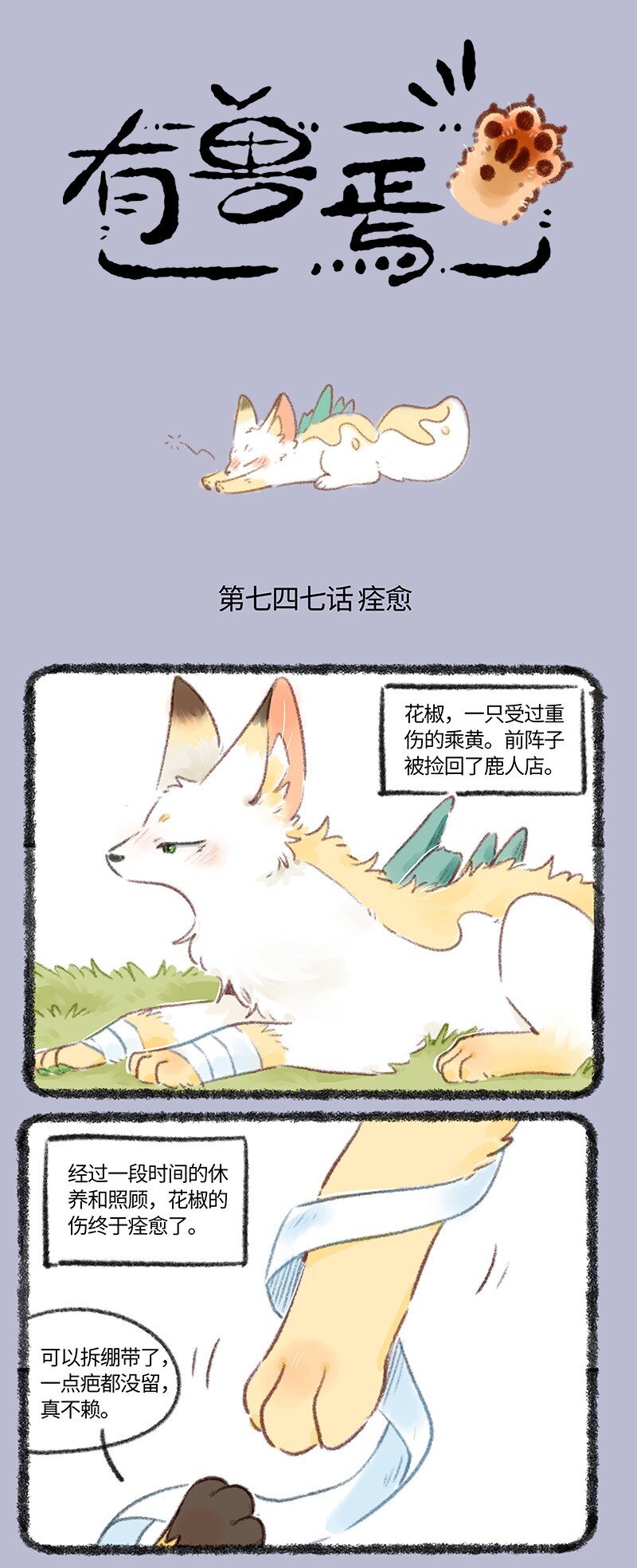 747 花椒痊愈了0