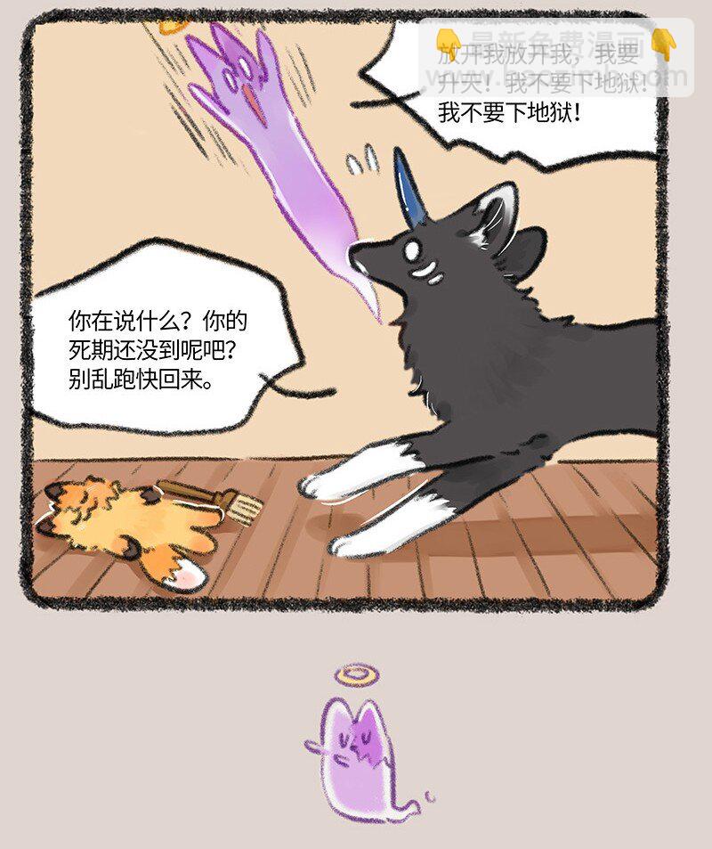 751 狐要上天堂6
