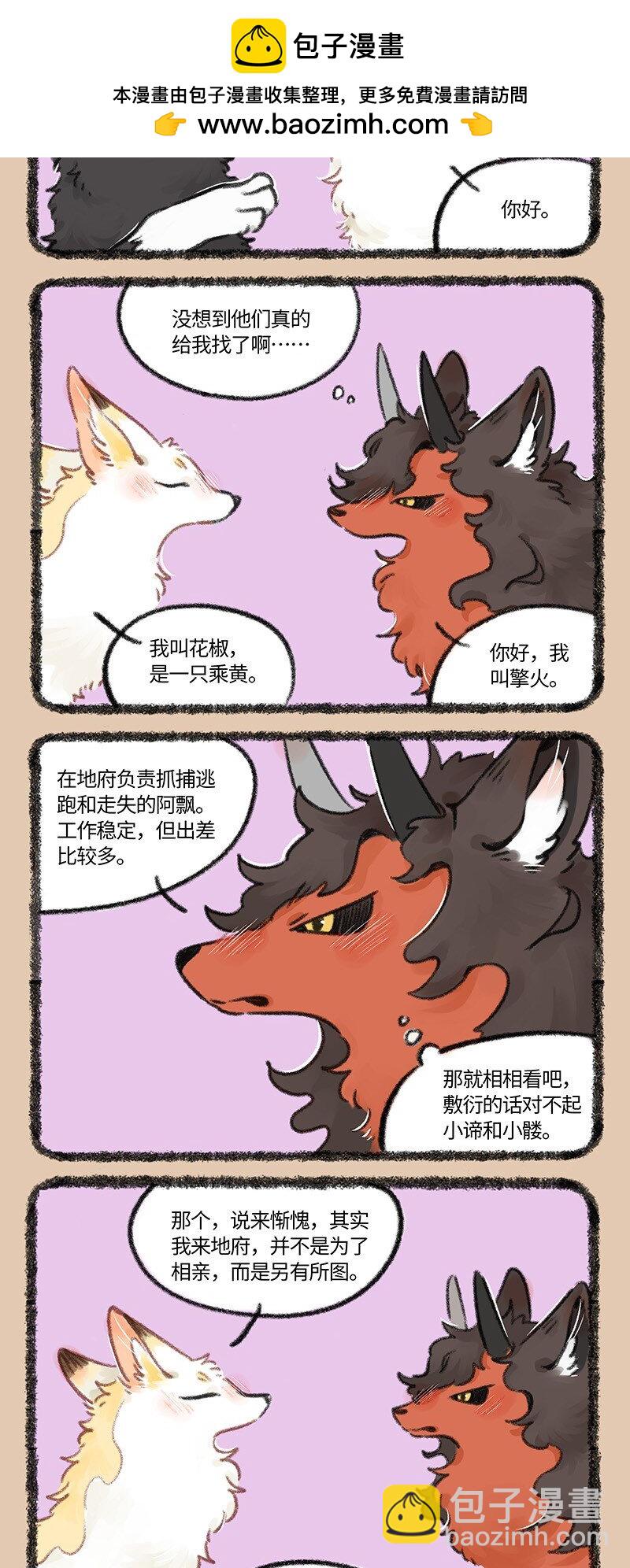 767 花椒的过去1