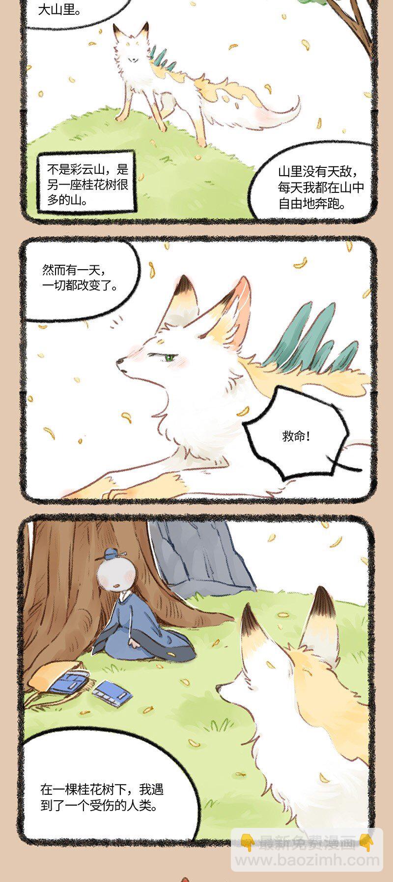 767 花椒的过去3