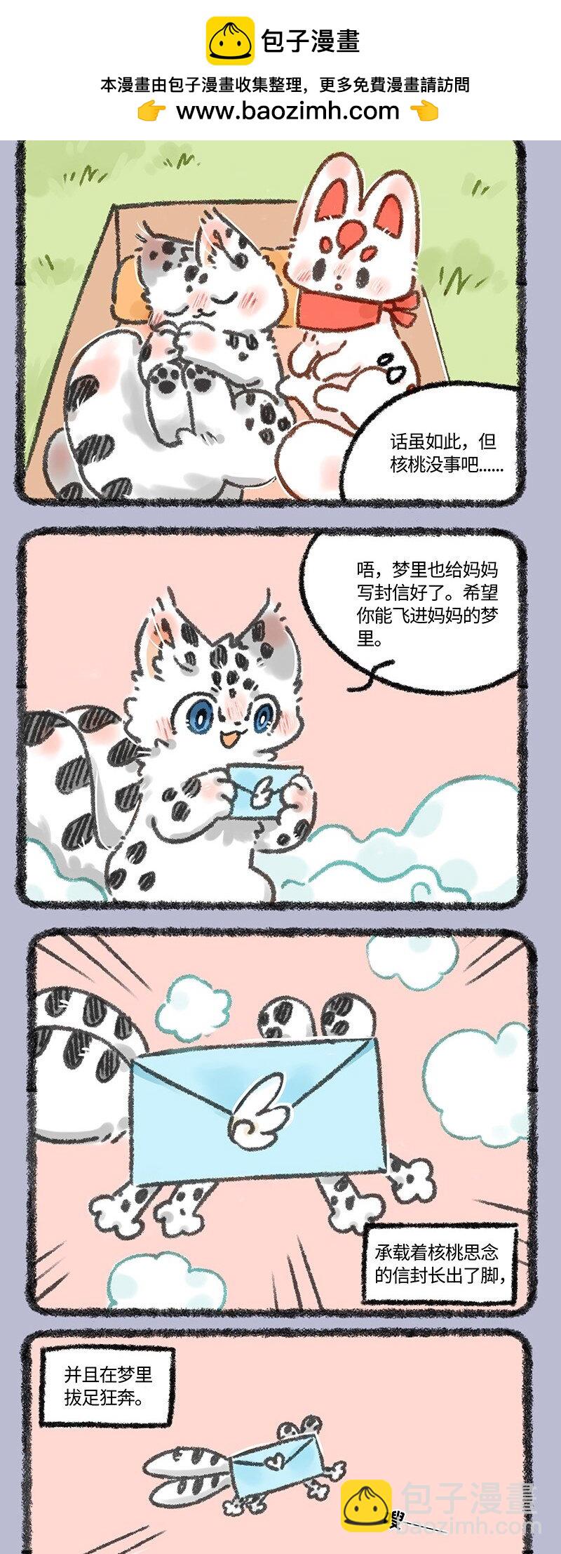 606 给妈妈的信2