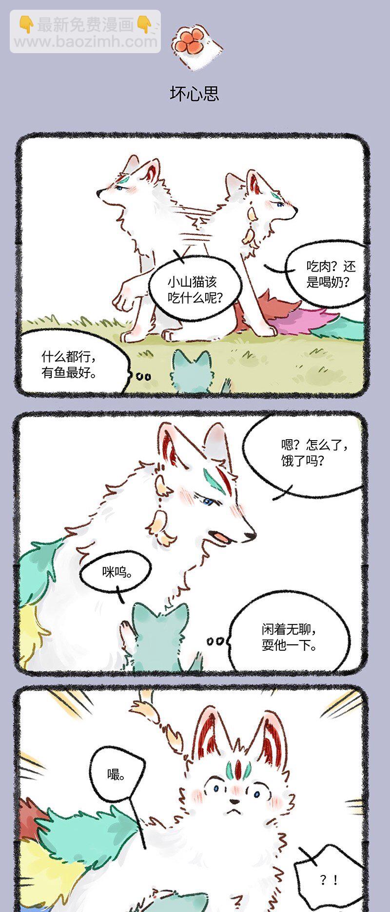 622 猫猫的骗局2