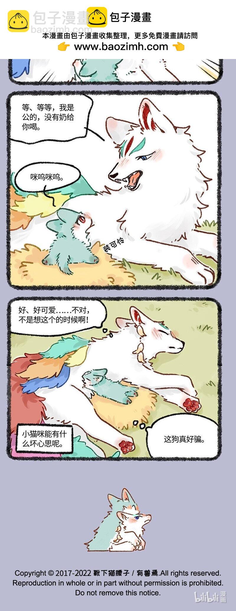622 猫猫的骗局3