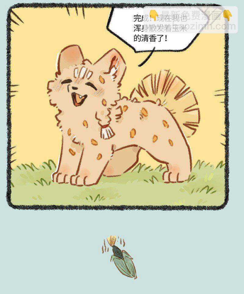 795 刍狗新时尚3