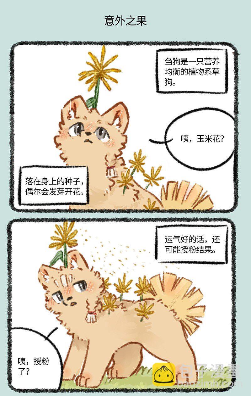 795 刍狗新时尚4