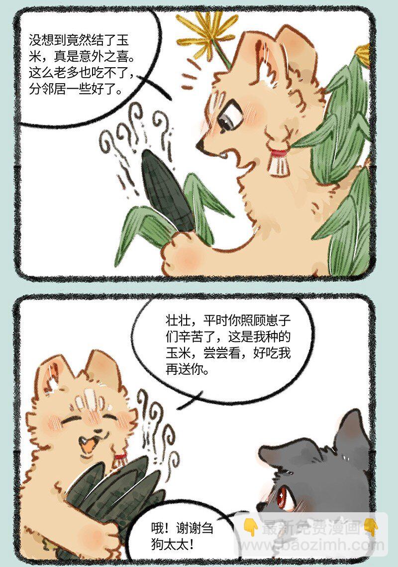 795 刍狗新时尚5