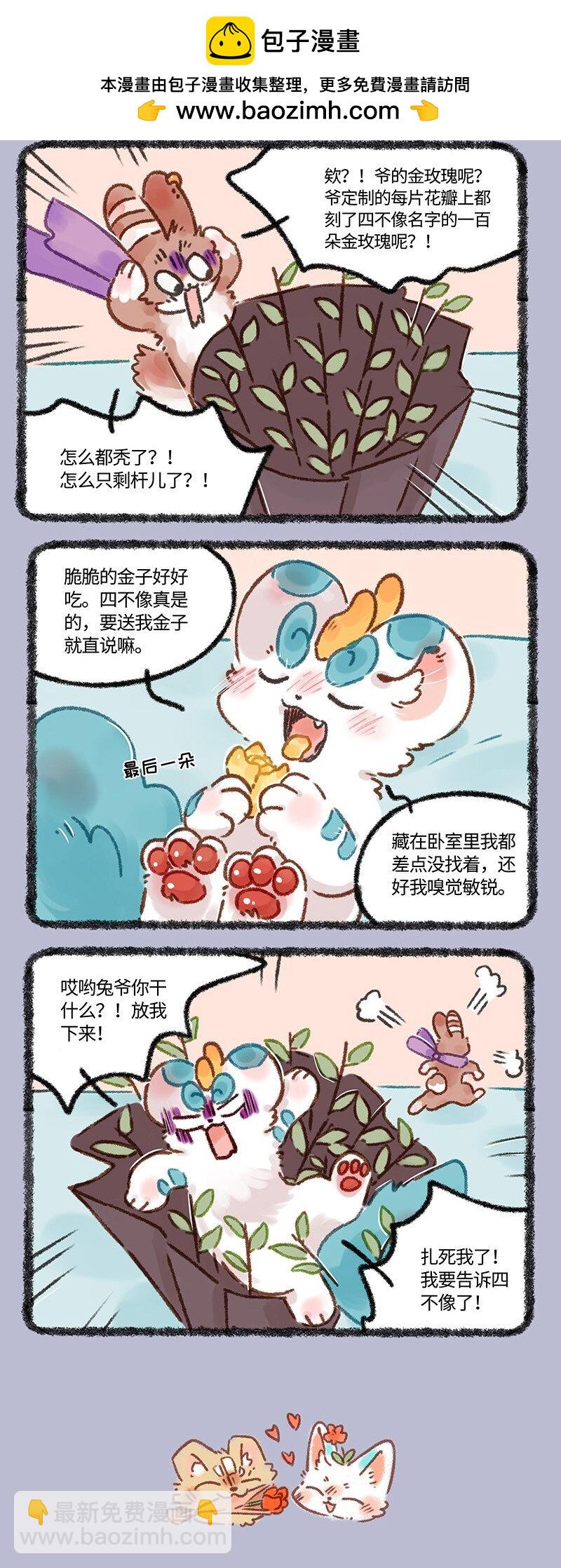 646 七夕玫瑰1