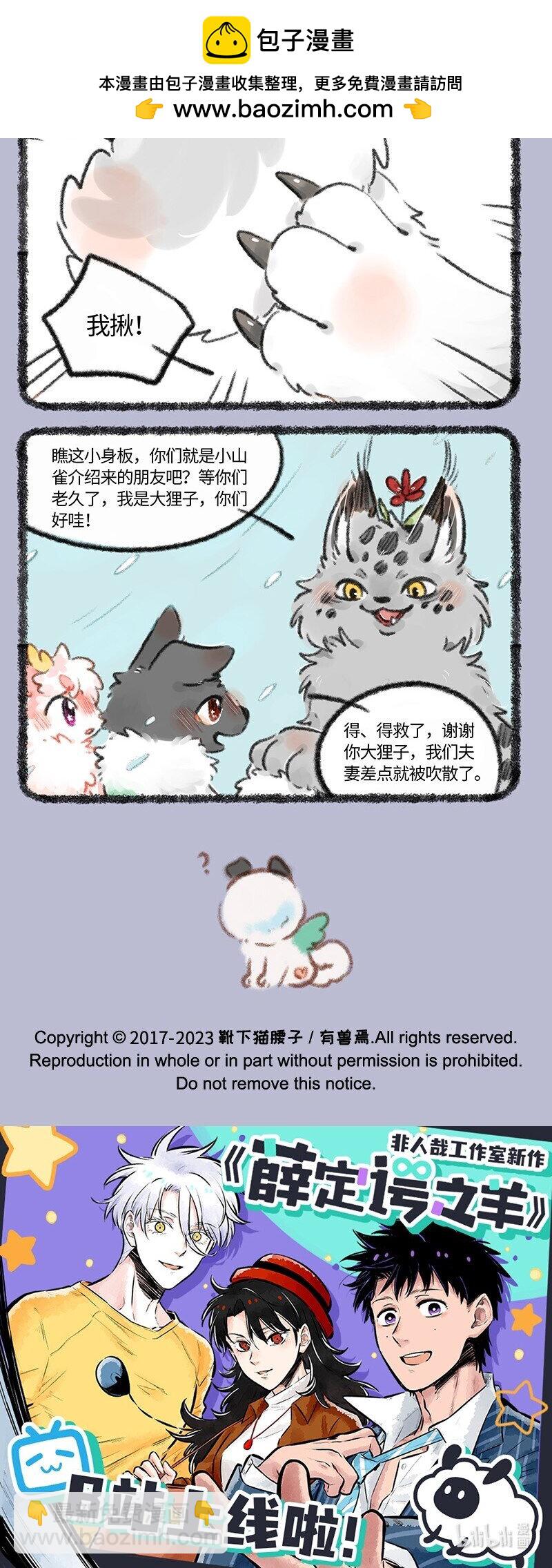 709 荔枝和壮壮的蜜月之行3
