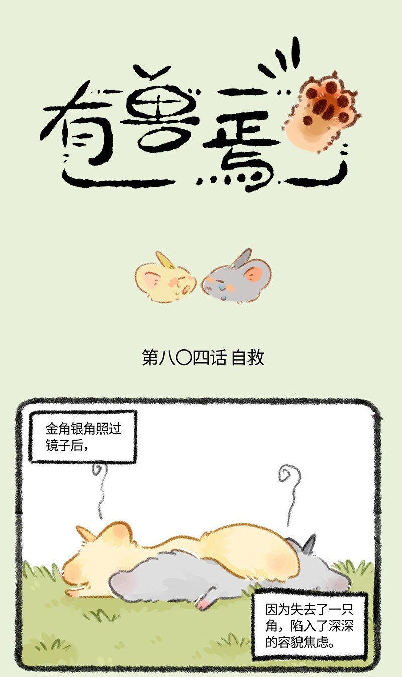 804 金角银角的自救0