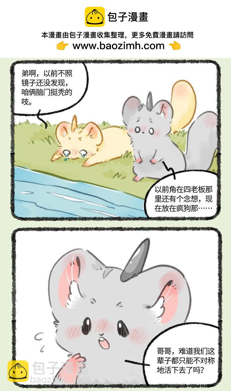 804 金角银角的自救1