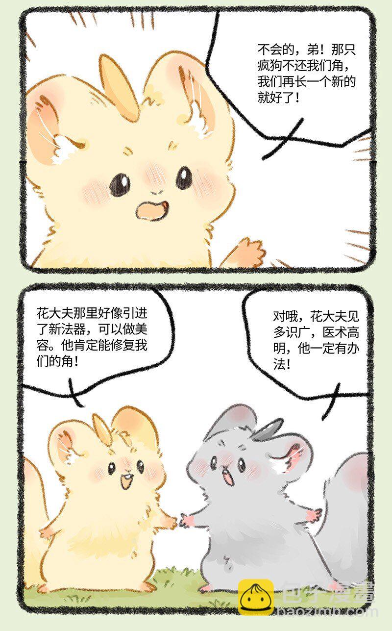 804 金角银角的自救2