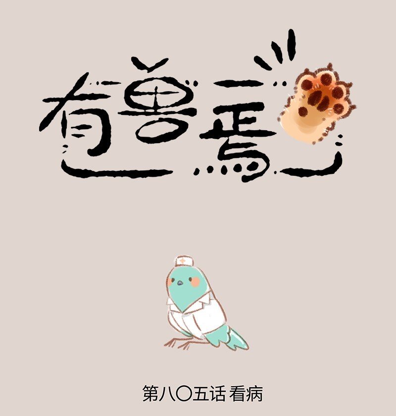805 花蕊鸟的伪装0