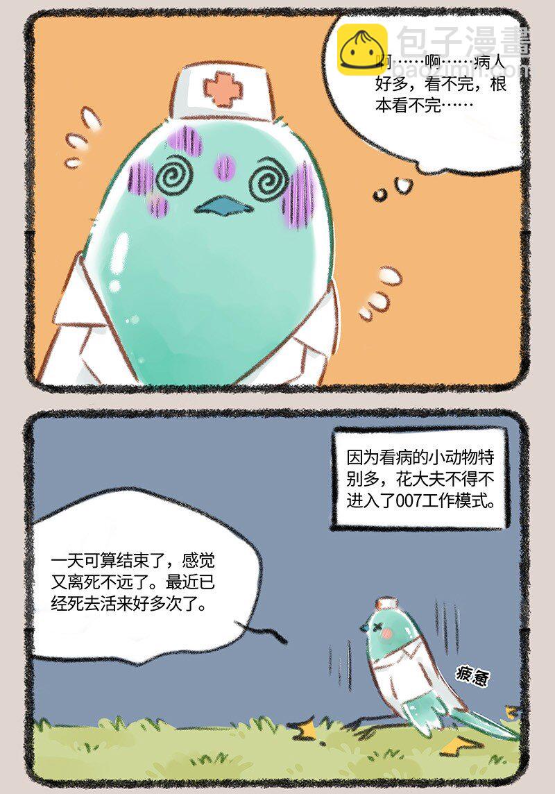 805 花蕊鸟的伪装2