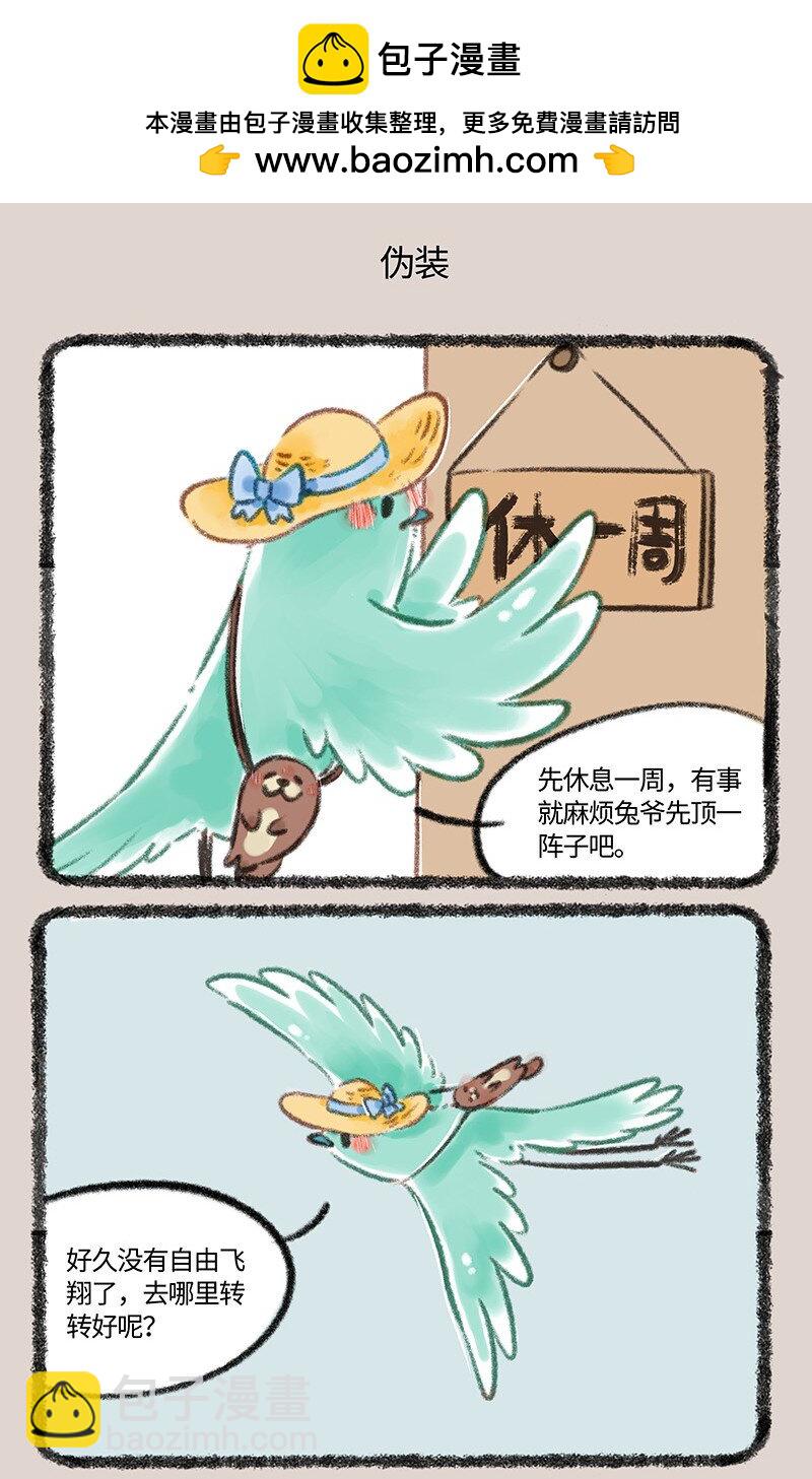 805 花蕊鸟的伪装4