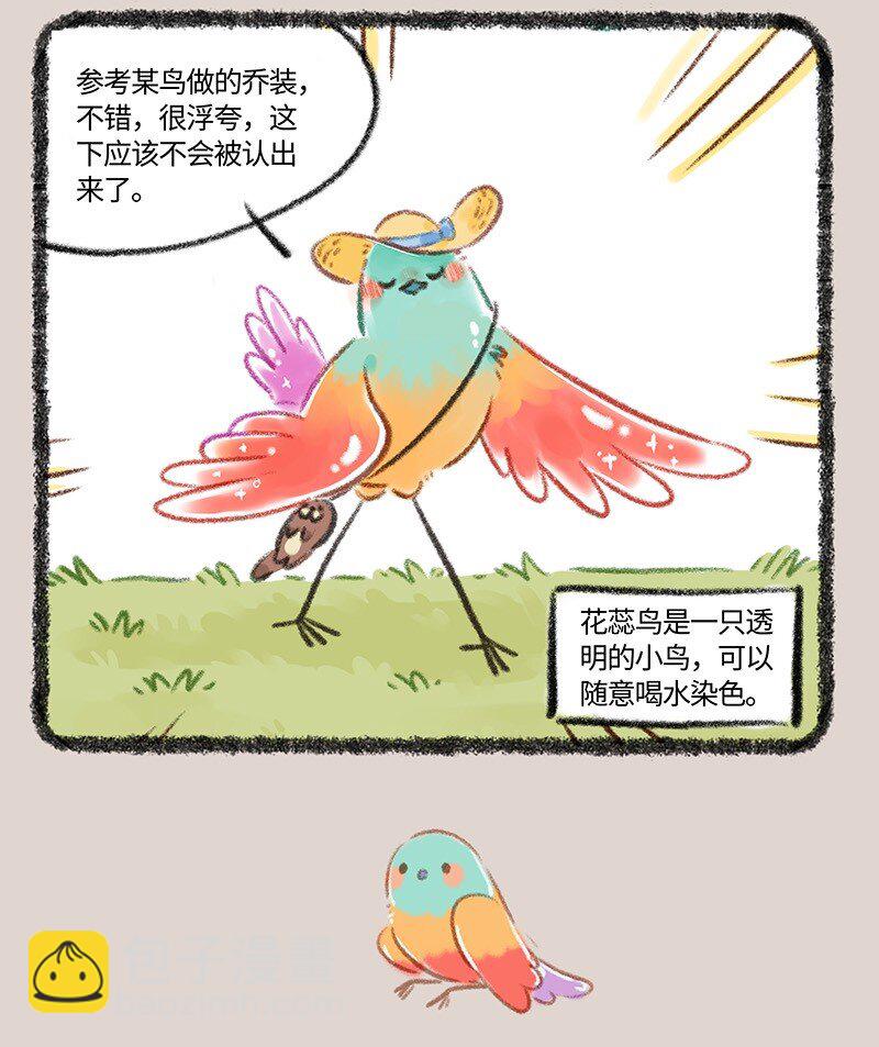 805 花蕊鸟的伪装6