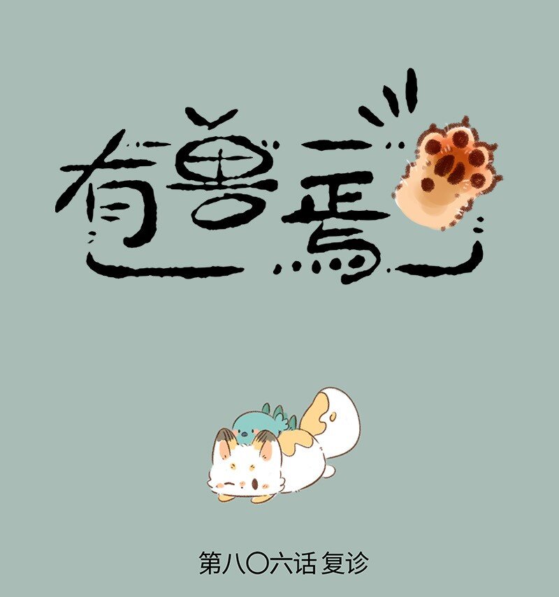 806 治愈花椒0
