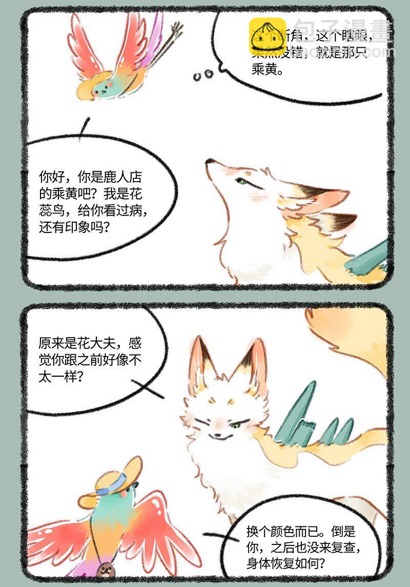 806 治愈花椒2