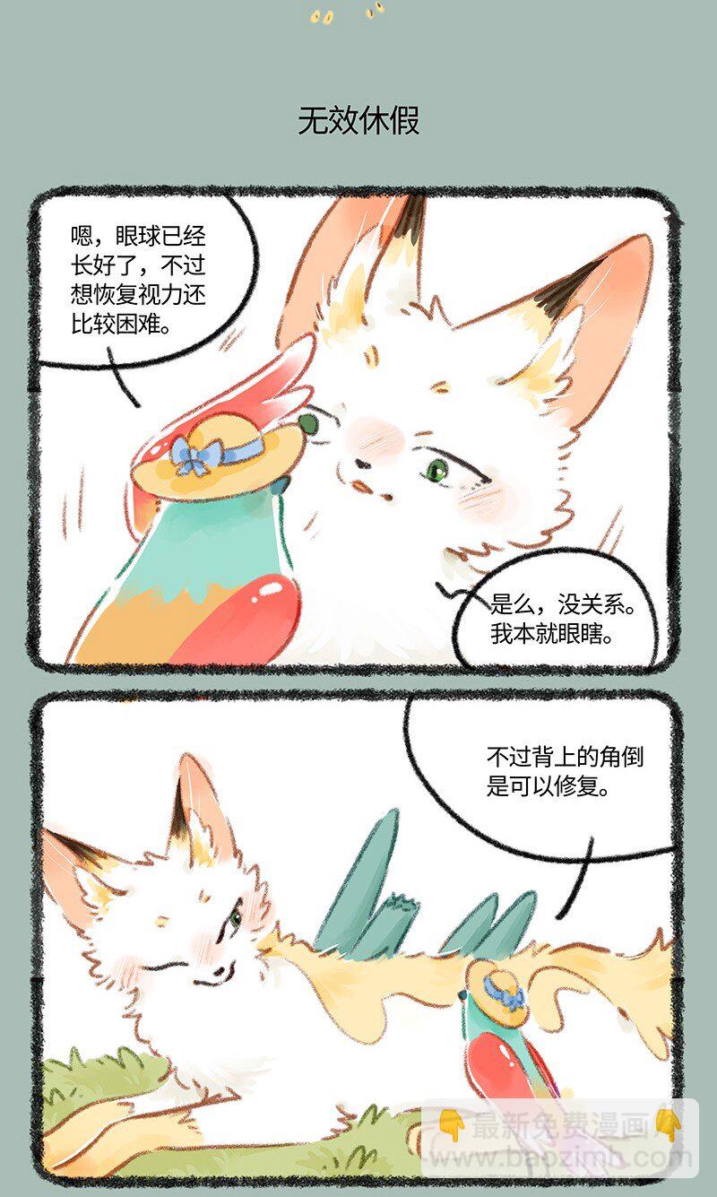 806 治愈花椒4