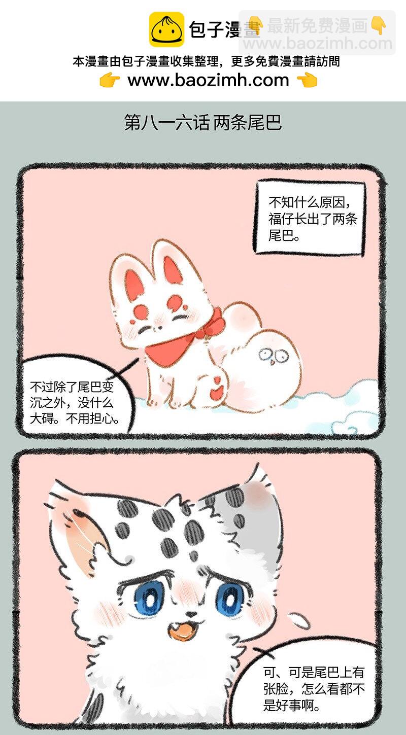 816 核桃的决心1