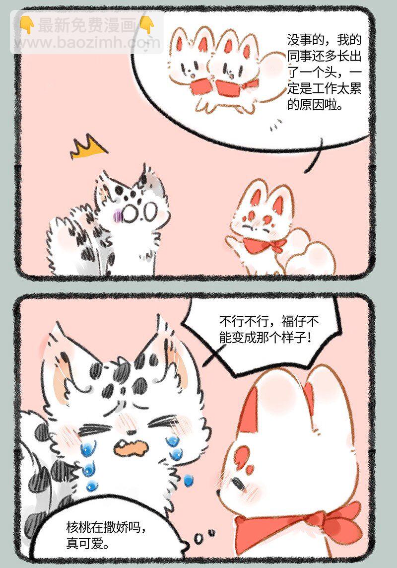 816 核桃的决心2