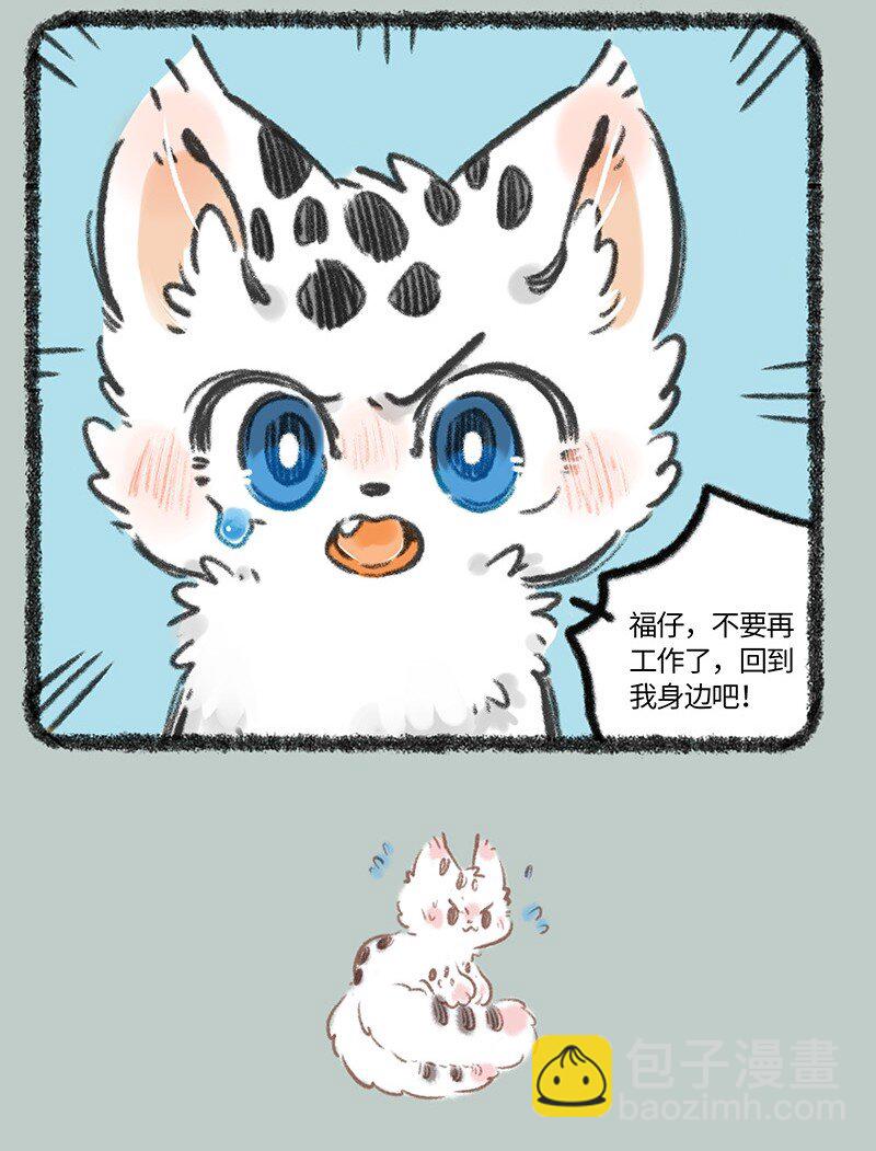 816 核桃的决心3