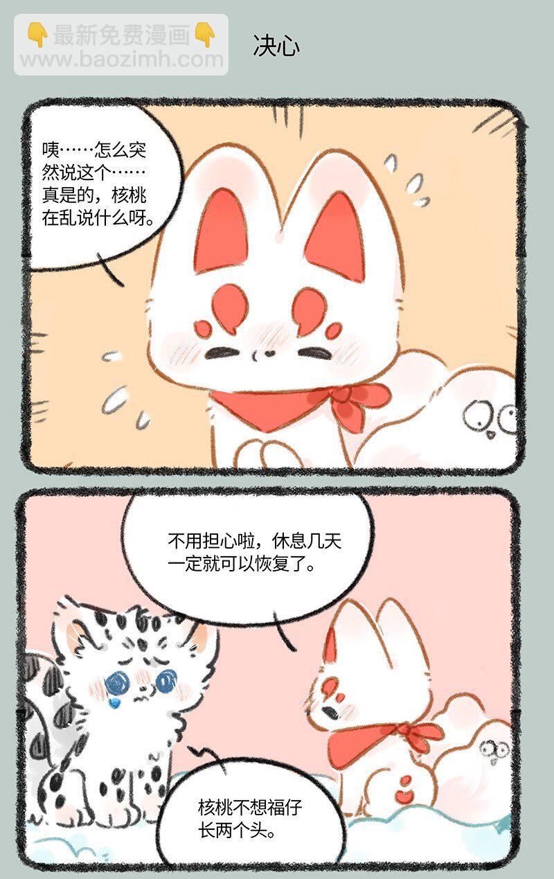 816 核桃的决心4