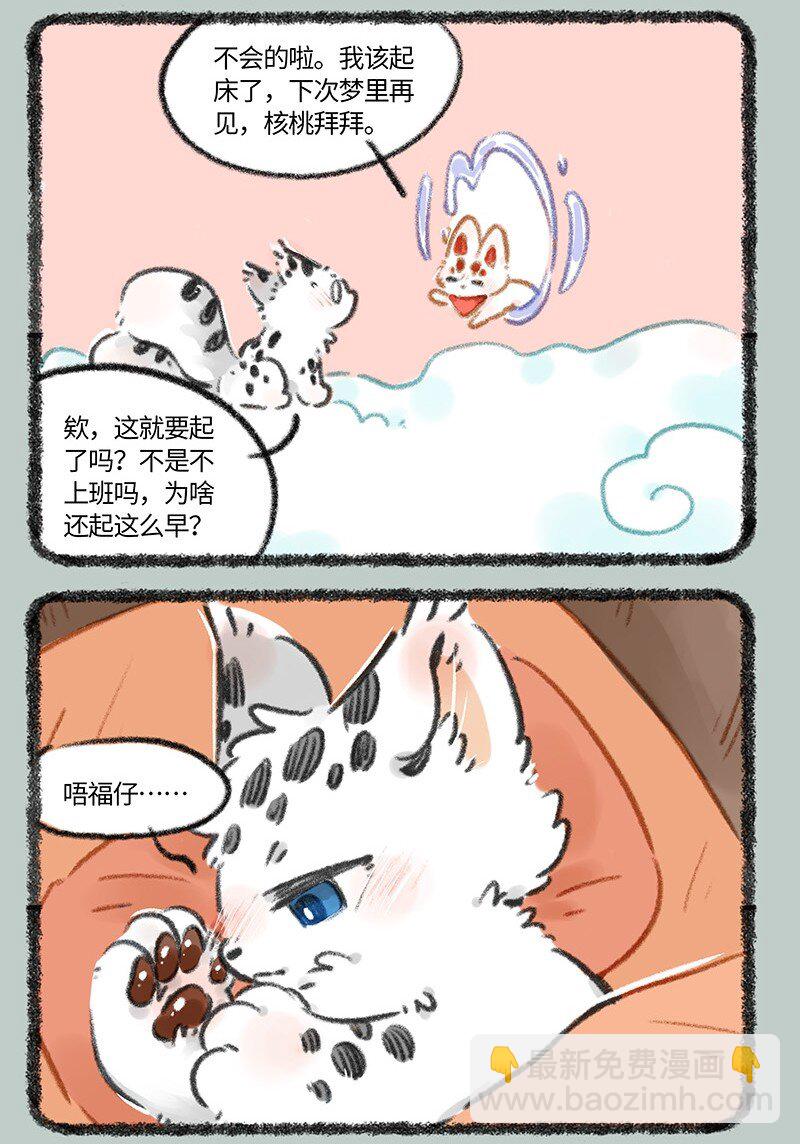 816 核桃的决心5