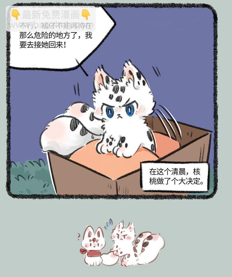 816 核桃的决心6