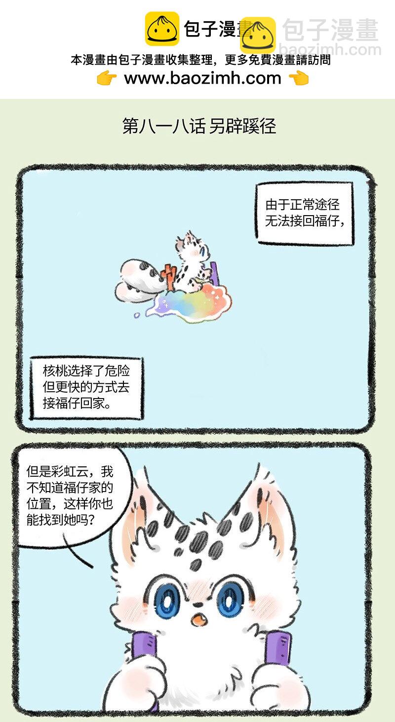 818 勇敢猫猫不怕困难1