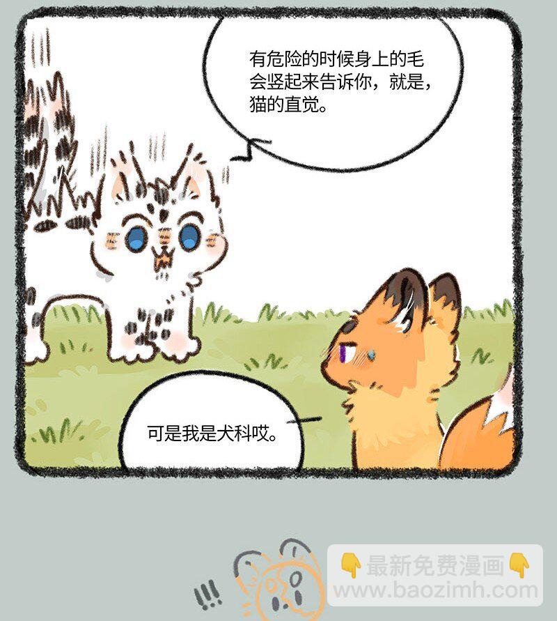 830 危险的气息5