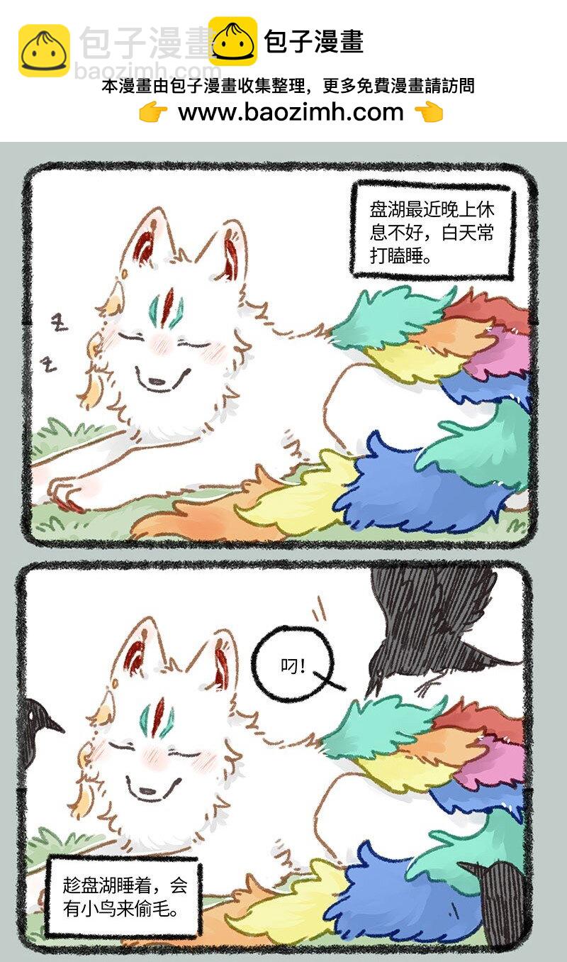 847 猫的奉献1