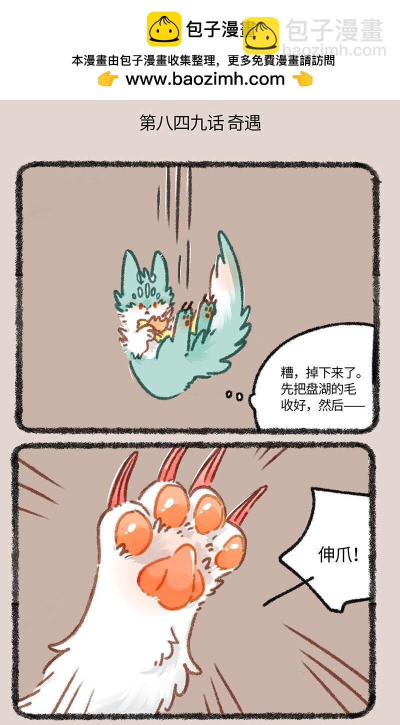 849 坠崖奇遇1