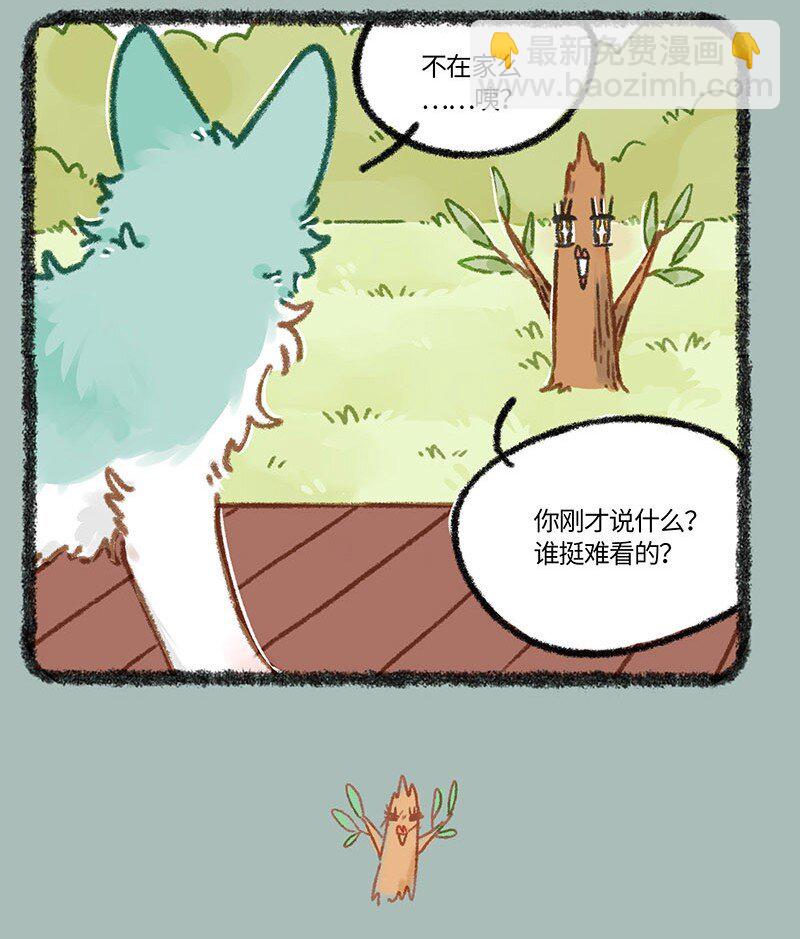 850 神奇的树树6