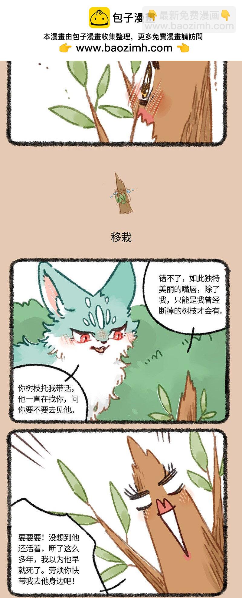 851 老树搬家2