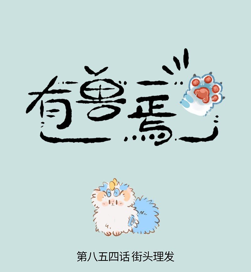 854 流浪小狗0
