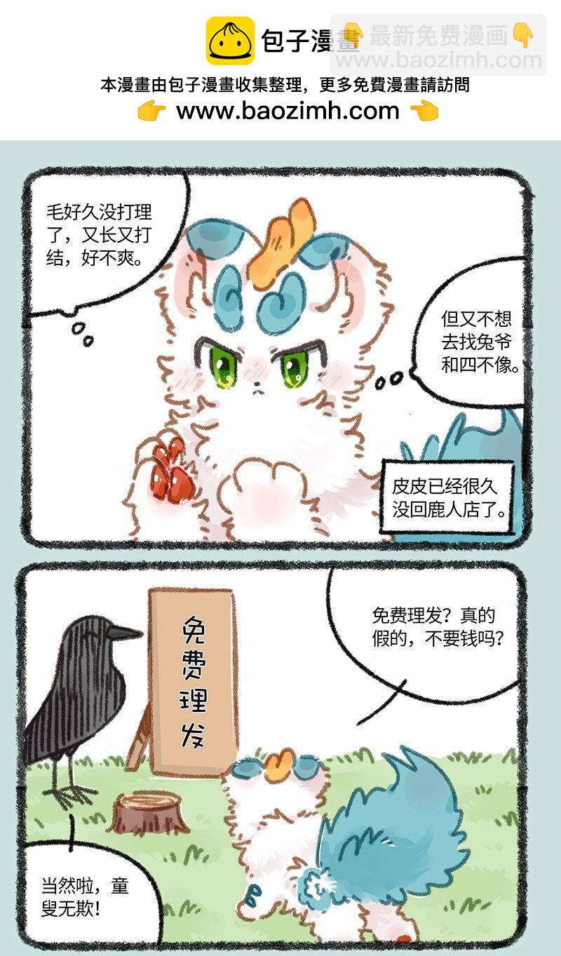 854 流浪小狗1