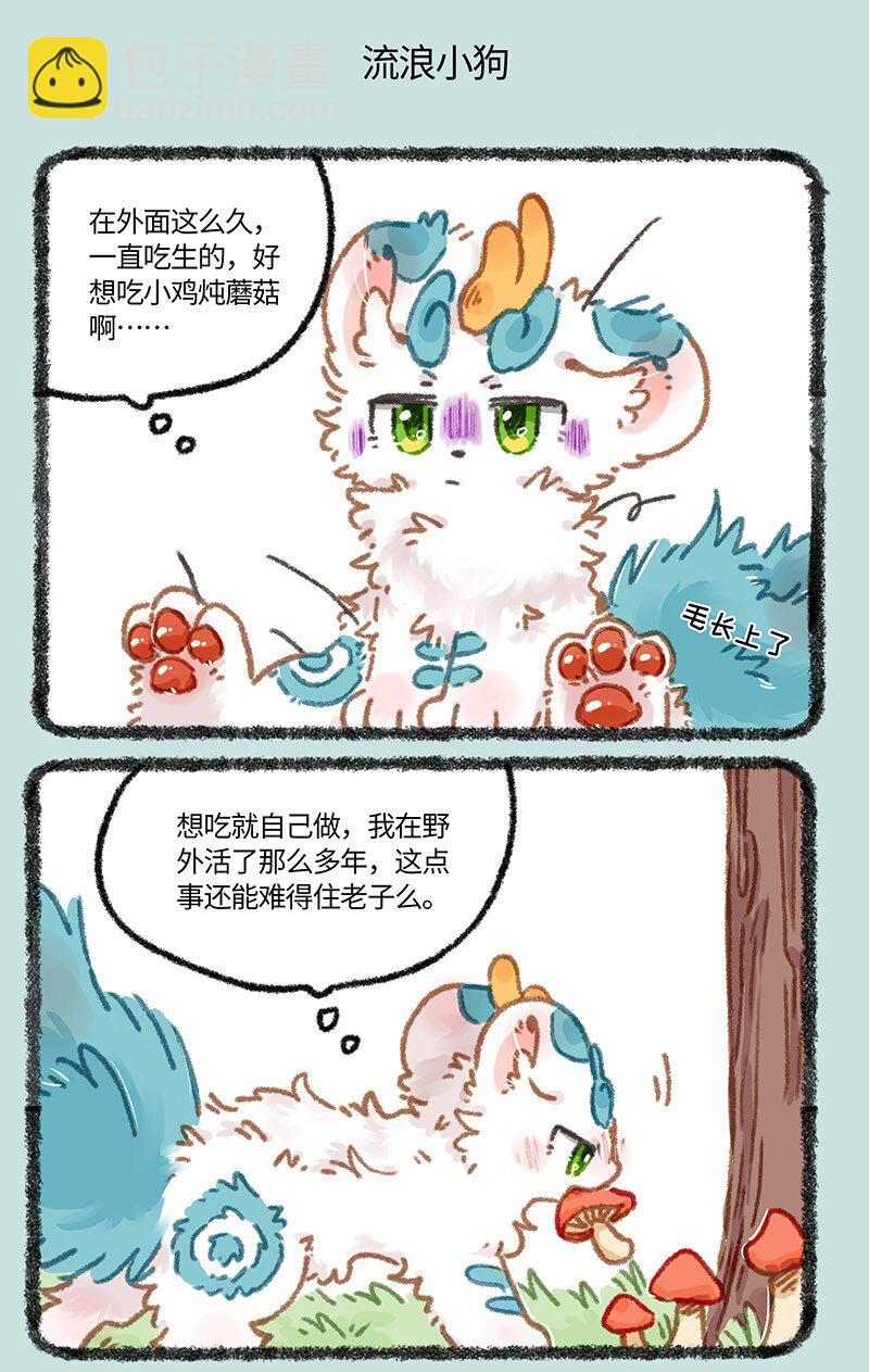 854 流浪小狗4