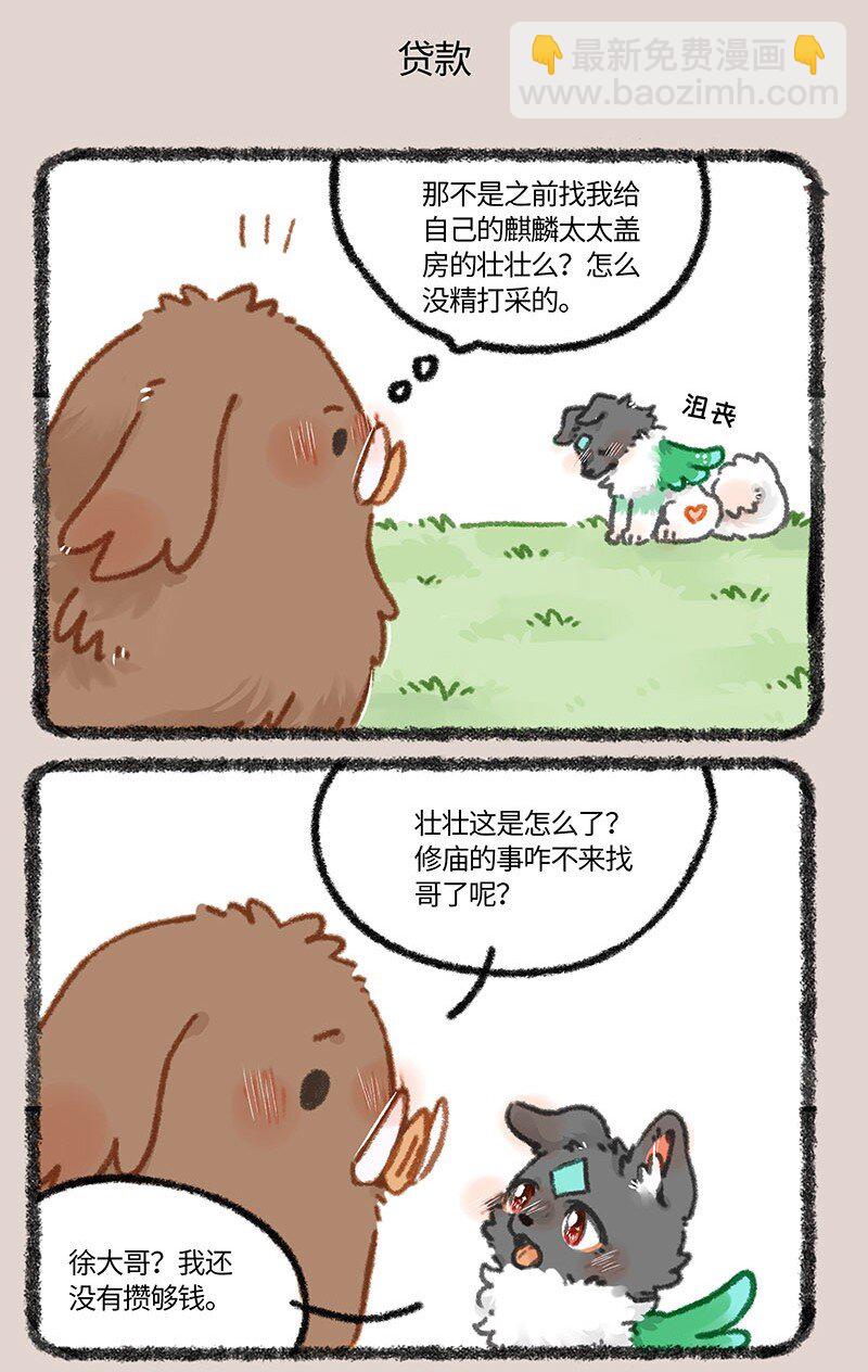 856 壮壮的存款4