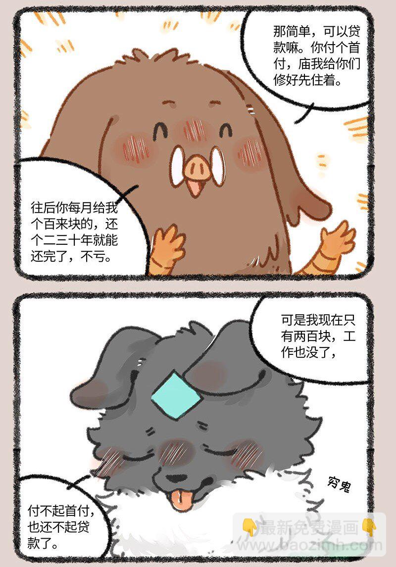 856 壮壮的存款5