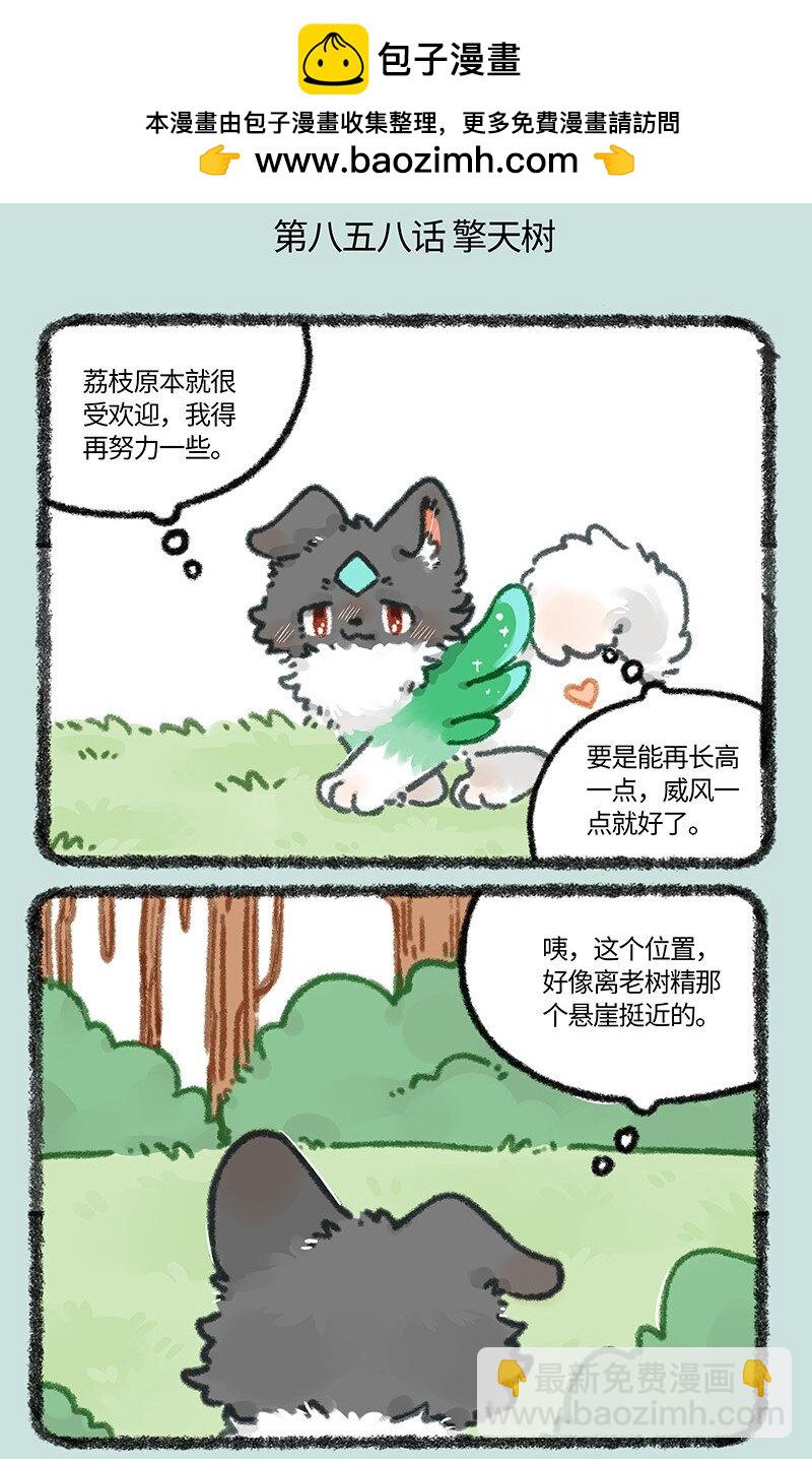 858 壮壮与擎天树1
